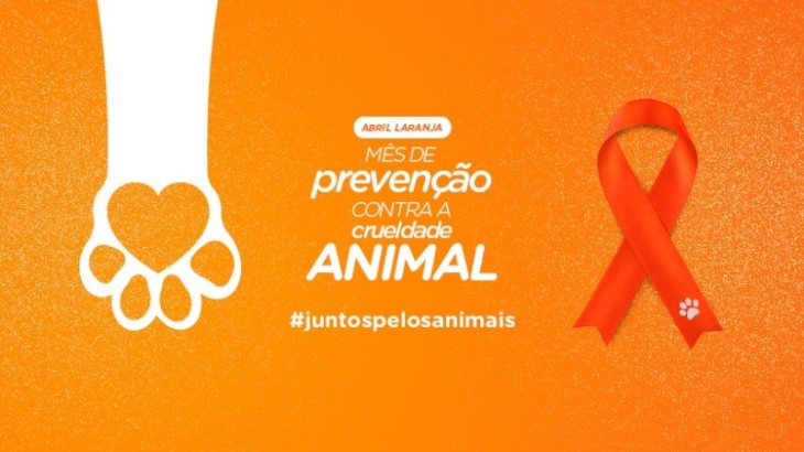 ABRIL LARANJA: MÊS DA PREVENÇÃO CONTRA A CRUELDADE ANIMAL